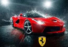 凯恩庆祝第,球入账,恭喜斯凯利,开云体育,开云体育官网,开云体育app,开云体育app下载