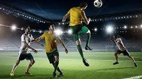 宾夕法尼亚州10万枚鸡蛋失窃，价格激增超五成